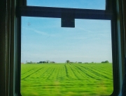 Train Art Window